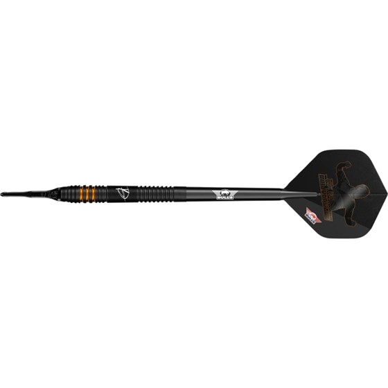 Strelice Za Pikado Dirk van Duijvenbode E2 90% Tungsten