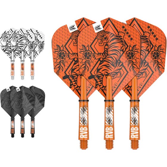 Pikado Pera i Nastavci Set Raymond Van Barneveld Ink 3x Set