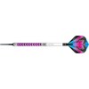 Strelice za pikado Peter Wright Vyper 90% Tungsten