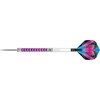 Strelice Za Pikado Peter Wright Vyper