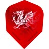 Pikado Pera Marathon Wales Dragon