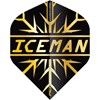 Pikado Pera Gerwyn Price Snowflake Hardcore Premium Standard