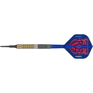 Strelice Za Pikado Raymond van Barneveld Gen 6 95% Tungsten