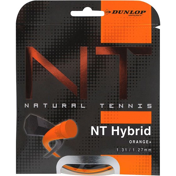 NT Hybrid